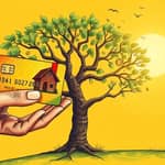 Tarjetas de Crédito y la Construcción de un Legado Financiero
